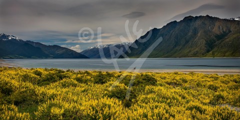 NEW ZEALAND Lake Hawea